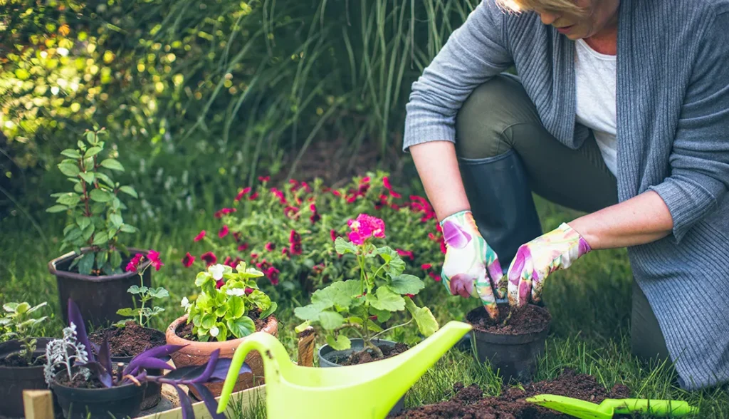 What Are the Benefits of Gardening?