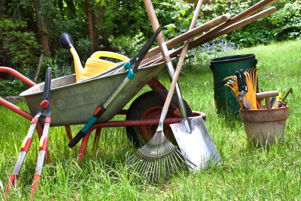 What Are the Essential Tools for Gardening?