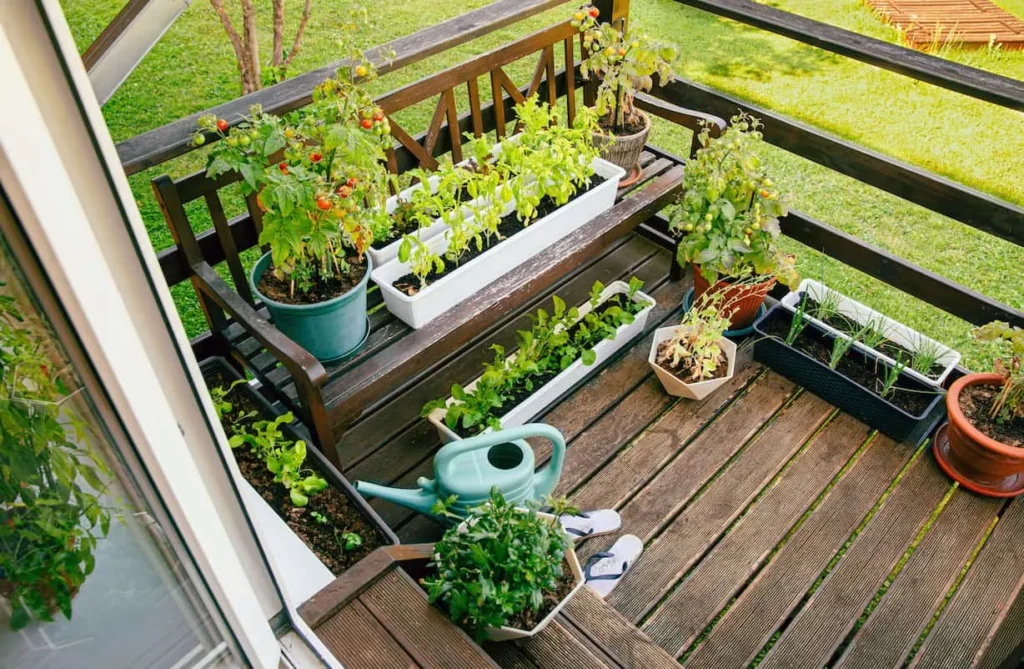 How to Create a Garden in a Small Space?