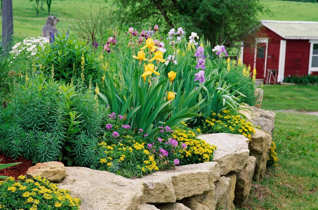 What Are Perennial Plants for a Garden?