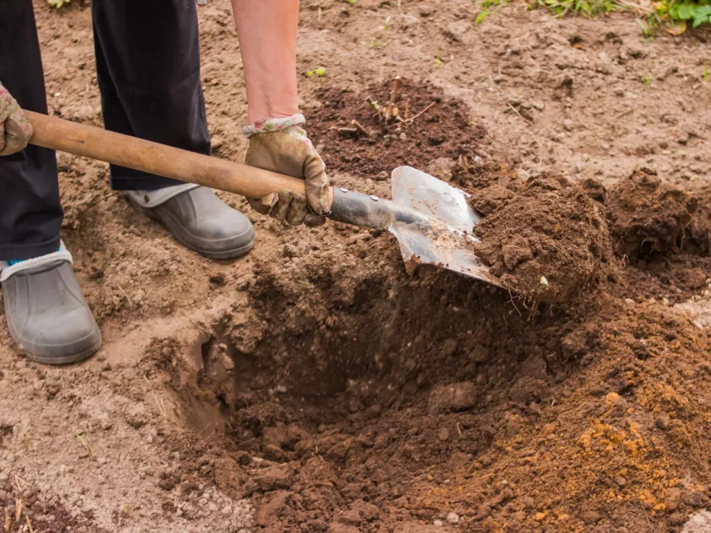 how to garden with clay soil