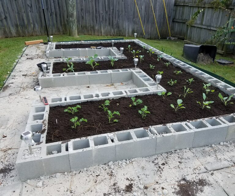 How to Garden in Raised Bed on Pavement?